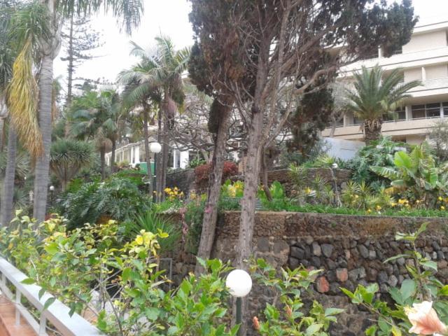Tranquilo apartamento Puerto de la Cruz Exterior foto